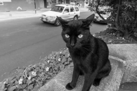B/W Street Photography
