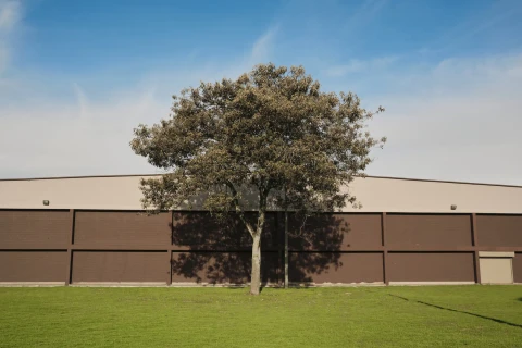 New Topographics